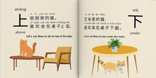 Load image into Gallery viewer, Let&#39;s Learn Opposite Words (Mandarin &amp; English) Softcover Book